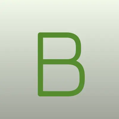 Боравто Belgee